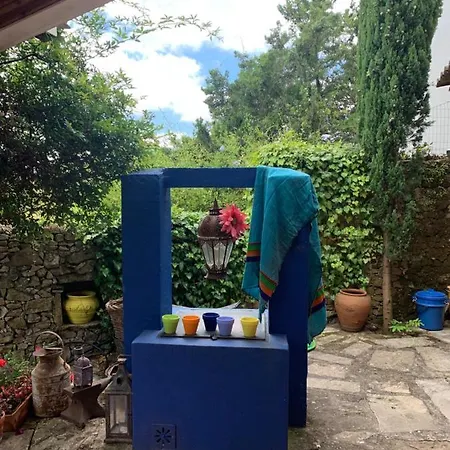 Casa Mil Cores - Carvalhal *